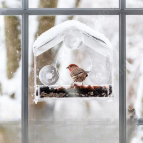 CrystalFeeder | Transparent Acrylic Bird Feeder Station