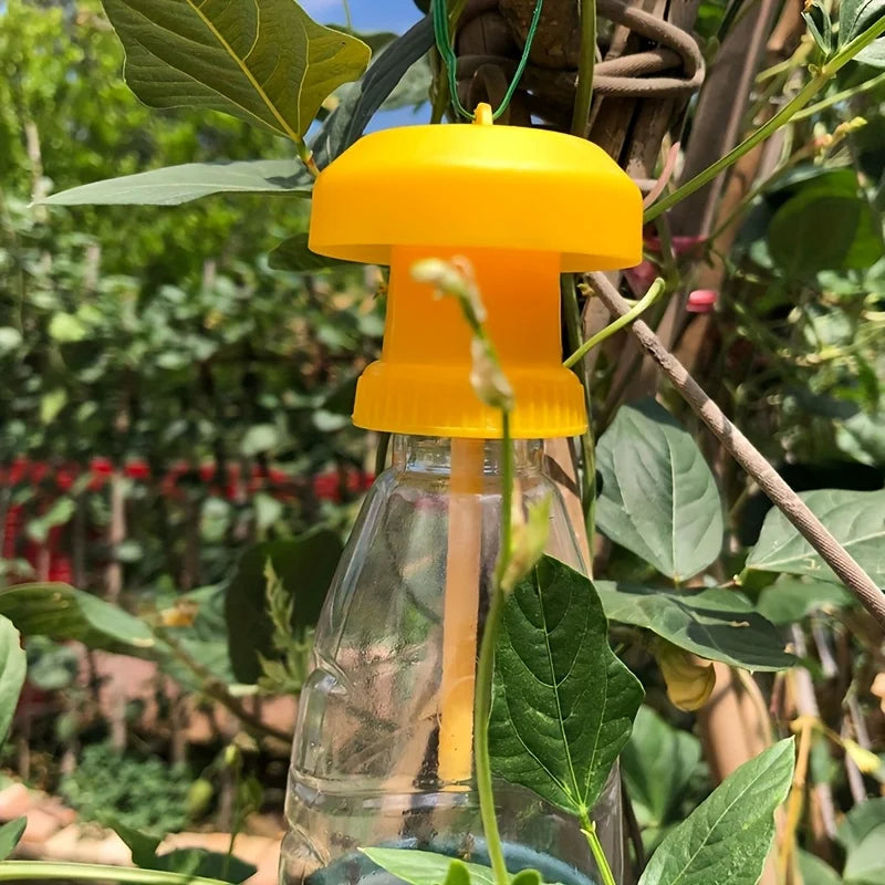 BugStopper | Fruit Fly Trap with Hanging Lid