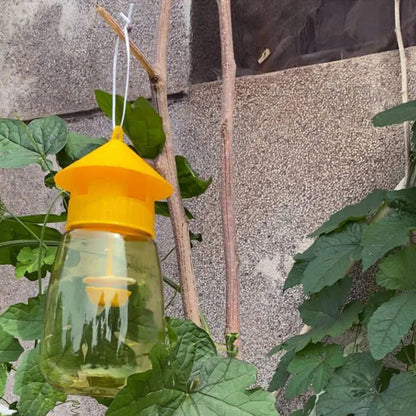 FruitStop | Hanging Fruit Fly Trap
