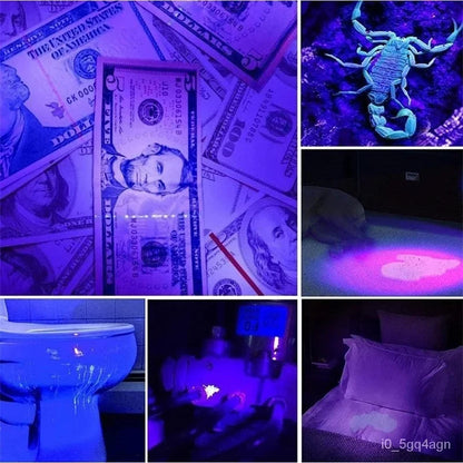 UVGuard | UV Torch for Bed Bug Detection and Stain Finder