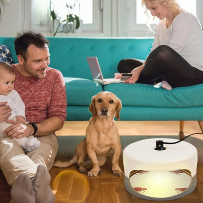 CalmCatch | Indoor Insect Trap and Catcher with Sticky Surfaces
