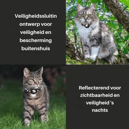 TrackTail | Cat collar with GPS tracker mount & safety clasp