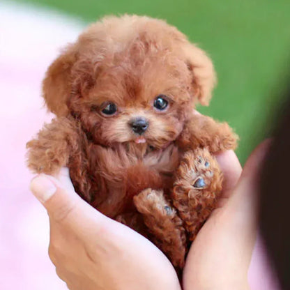 SnugglePup | Realistic Plush Dog – Comfort & Joy, No Care Needed