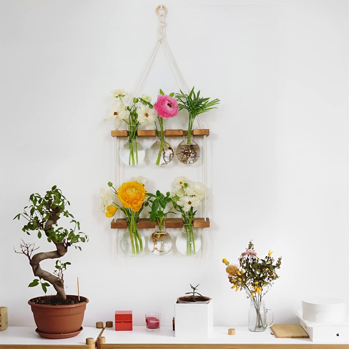 PlantPendulum | Space-Saving Wall-Mounted Plant Holder