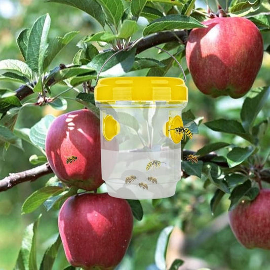 BugTrap | Fruit Fly Traps