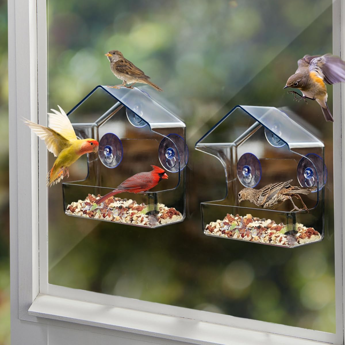 CrystalFeeder | Transparent Acrylic Bird Feeder Station