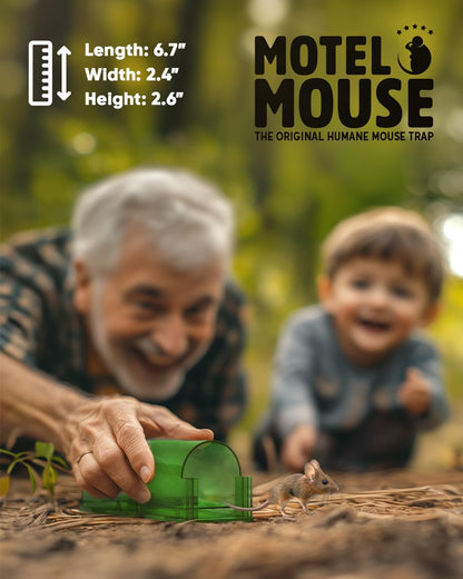 SafeTrap | 4-Pack Mouse Traps