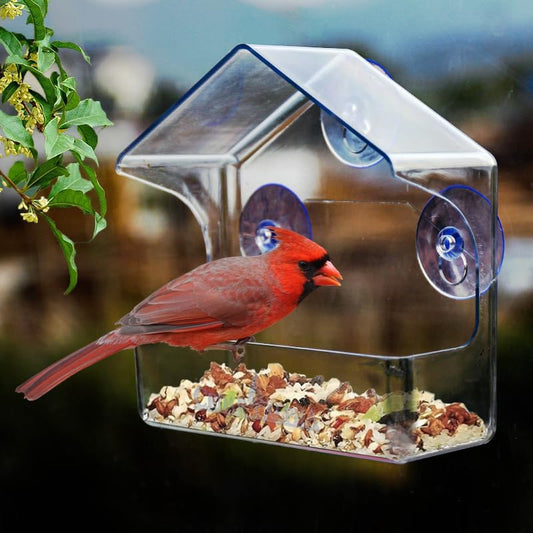CrystalFeeder | Transparent Acrylic Bird Feeder Station