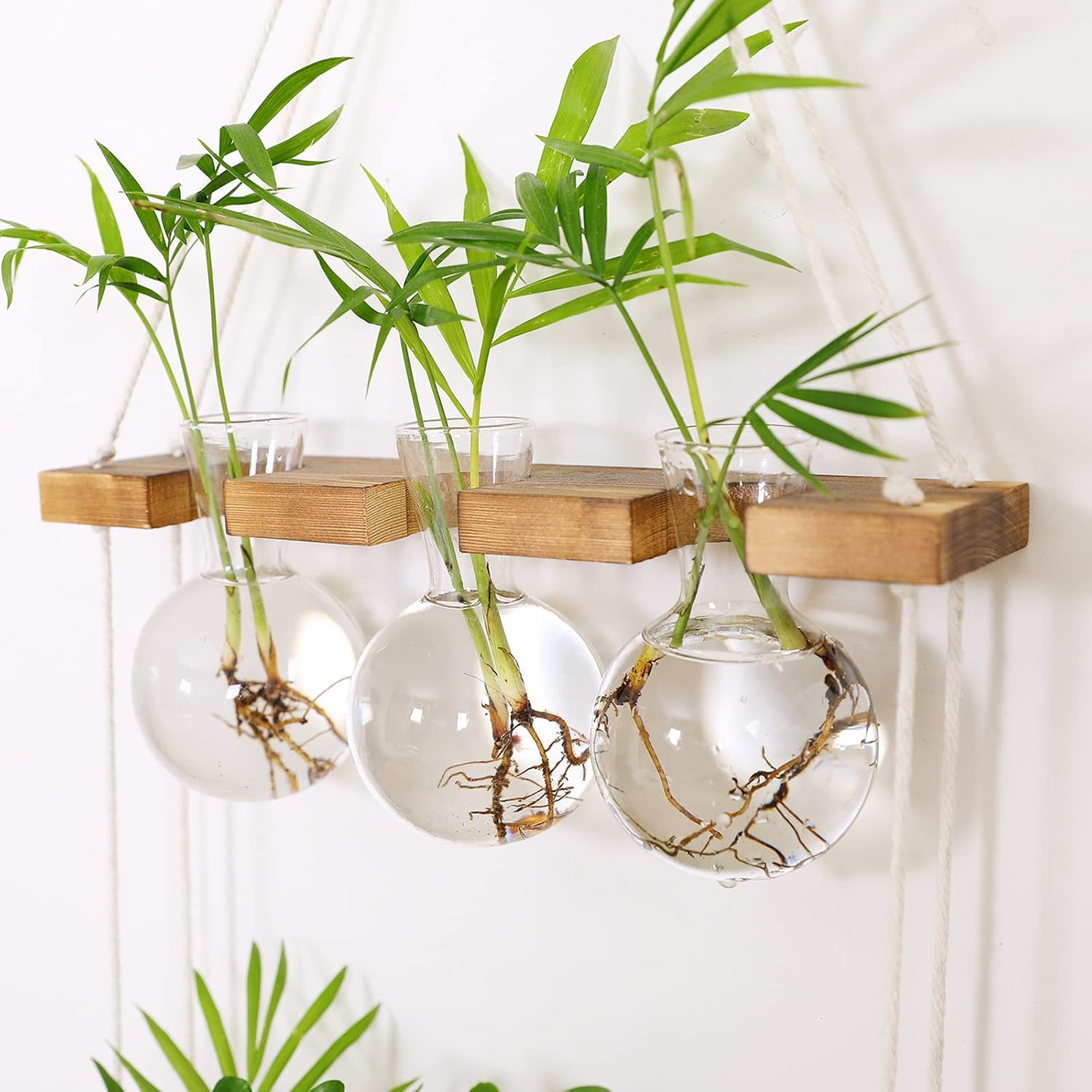 PlantPendulum | Space-Saving Wall-Mounted Plant Holder