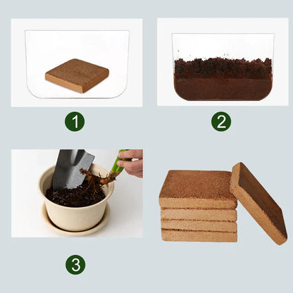 EcoGrow | Organic Coconut Fibre for Plants