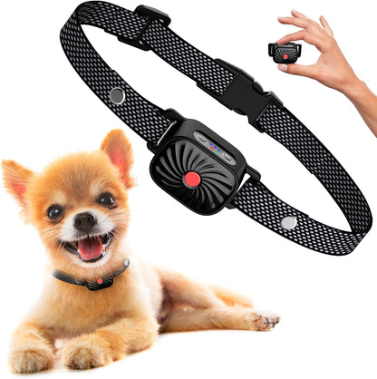 Bellissimo | Dog Training Collar – Premium Gentle Vibration Control 1