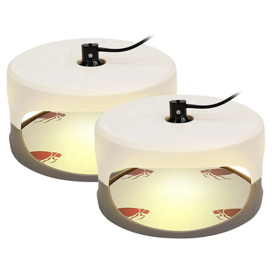 CalmCatch | Indoor Insect Trap and Catcher with Sticky Surfaces