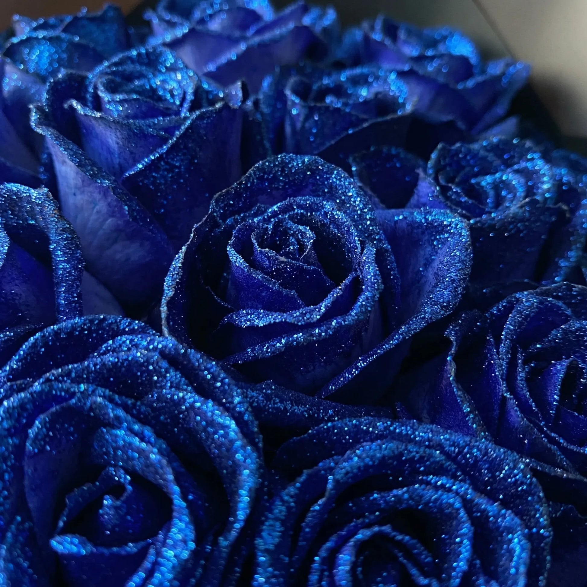 Aurevra - Preserved Rose Bouquet