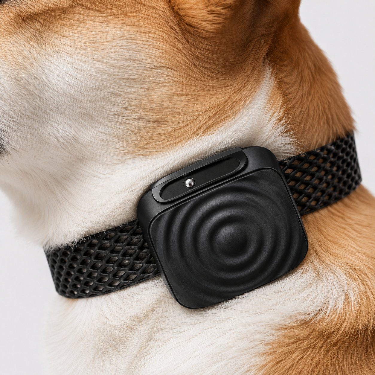 BarkEase | Gentle Training Collar for Small Dogs1