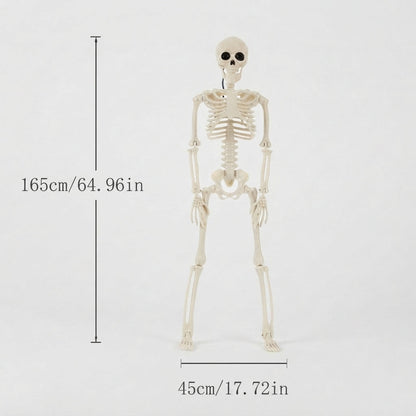 Bonefright - Giant Halloween Skeleton