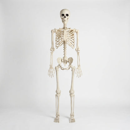 Bonefright - Giant Halloween Skeleton