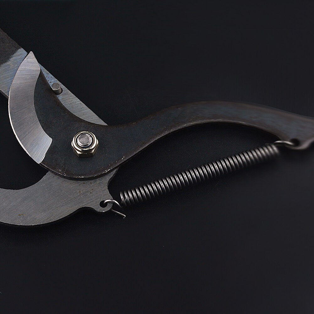 TreeReach | High Altitude Extension Fruit Pruner