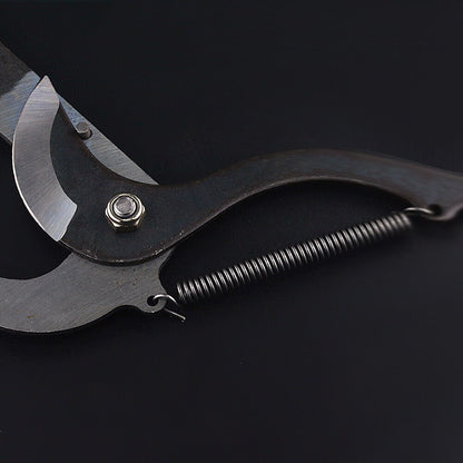 TreeReach | High Altitude Extension Fruit Pruner