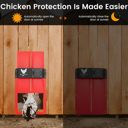 PluimveePro | Automatic Chicken Coop Door