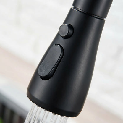 Flexira - High Arc Kitchen Tap