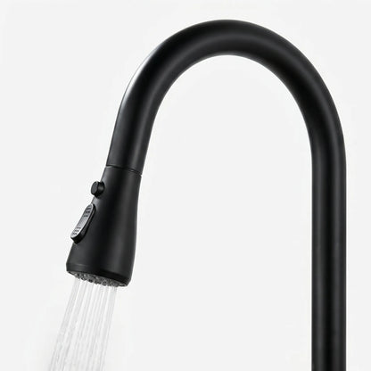 Flexira - High Arc Kitchen Tap
