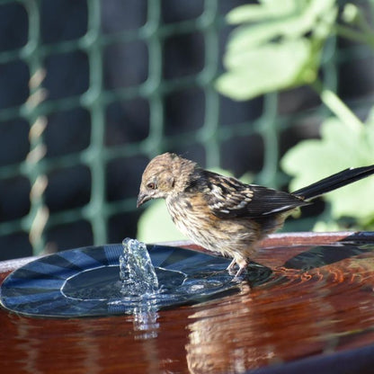 SunSplash | Eco-Friendly Solar-Powered Fountain