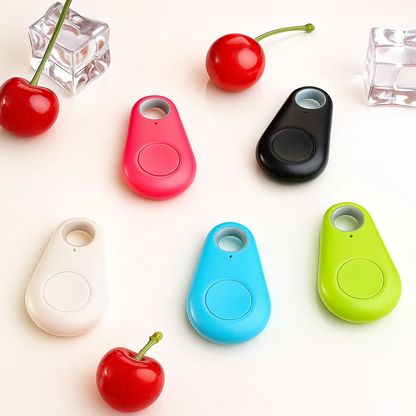 Guardear - Compact GPS Tracker Tag