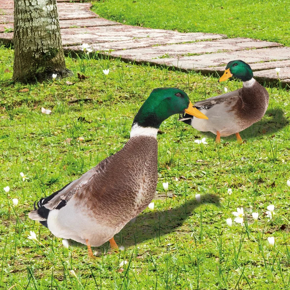 DuckDuo | Weatherproof Decorative Duck for Garden & Flower Bed