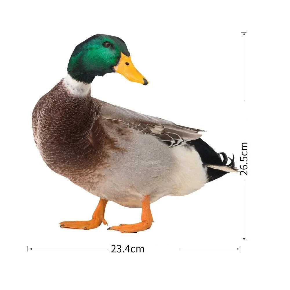 DuckDuo | Weatherproof Decorative Duck for Garden & Flower Bed