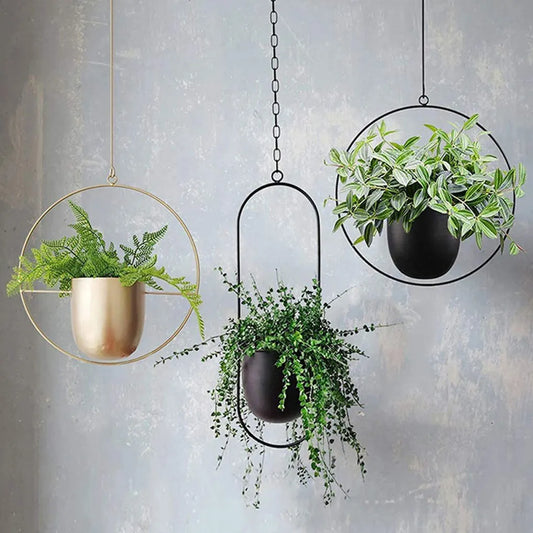 FrameLoop | Minimalist & Timeless Hanging Flower Pot