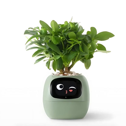 HappyIvy | SMART Plant Pot for Automatic Plant Care