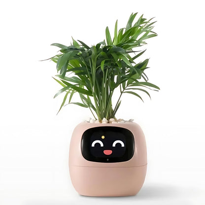 HappyIvy | SMART Plant Pot for Automatic Plant Care