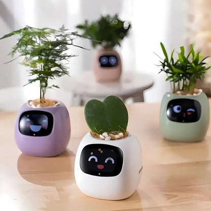 HappyIvy | SMART Plant Pot for Automatic Plant Care