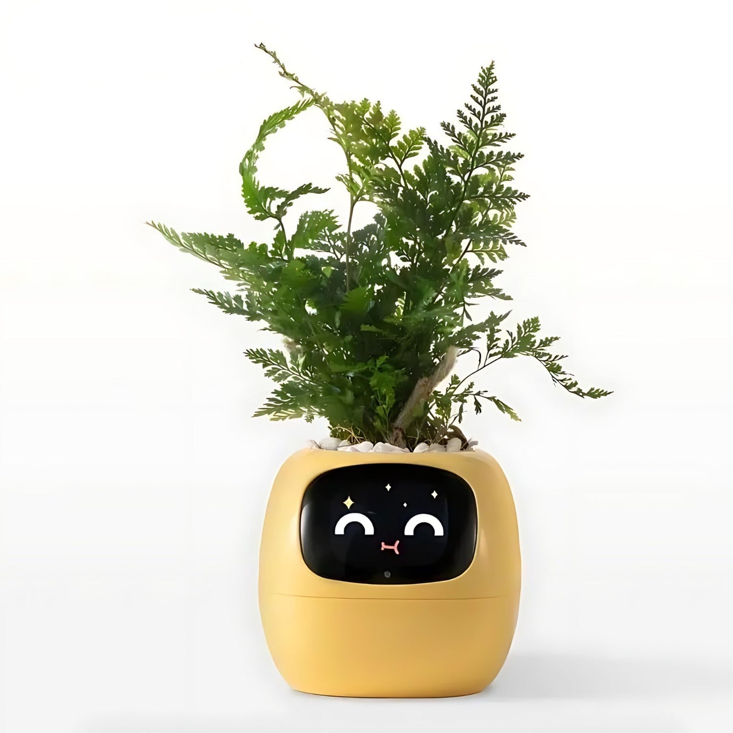 HappyIvy | SMART Plant Pot for Automatic Plant Care