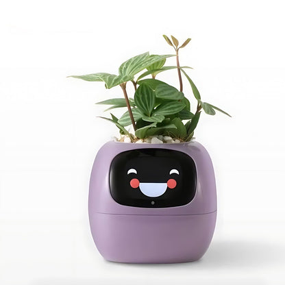 HappyIvy | SMART Plant Pot for Automatic Plant Care