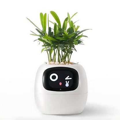 HappyIvy | SMART Plant Pot for Automatic Plant Care