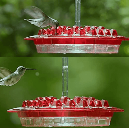 Hexaport - Hexagonal Hanging Bird Feeder