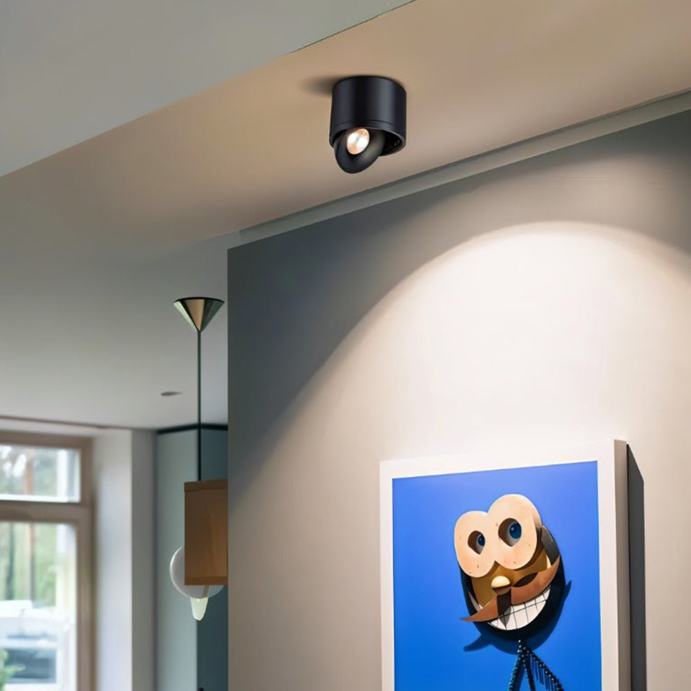 Lumitilt - Adjustable Tilt LED Ceiling Downlight