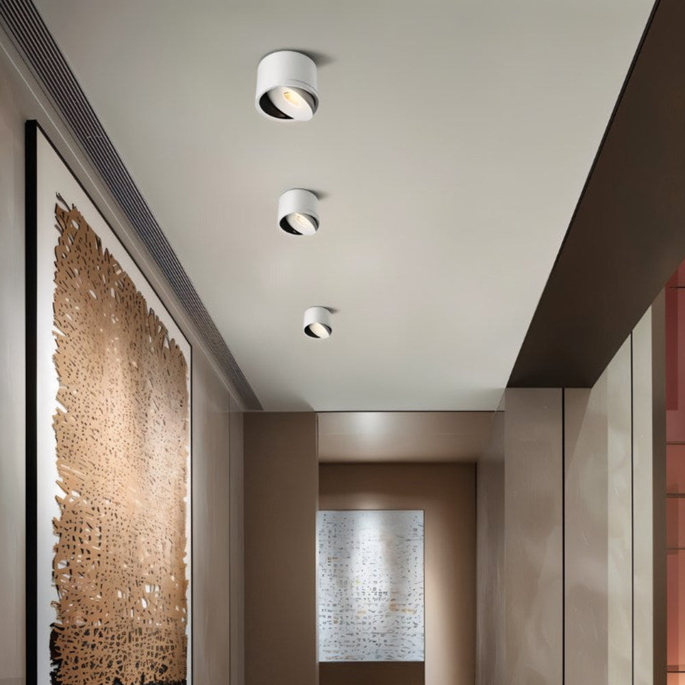 Lumitilt - Adjustable Tilt LED Ceiling Downlight