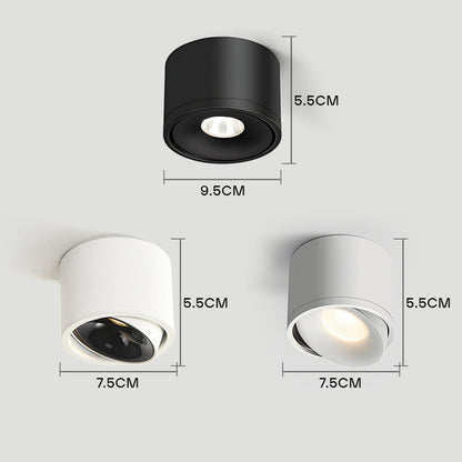 Lumitilt - Adjustable Tilt LED Ceiling Downlight