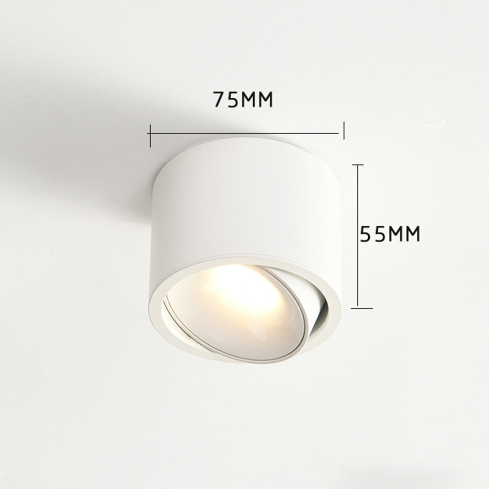 Lumitilt - Adjustable Tilt LED Ceiling Downlight