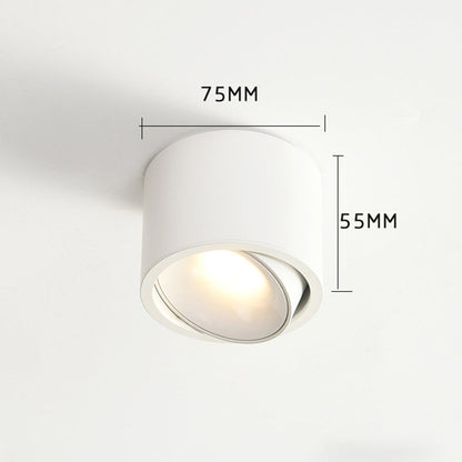 Lumitilt - Adjustable Tilt LED Ceiling Downlight