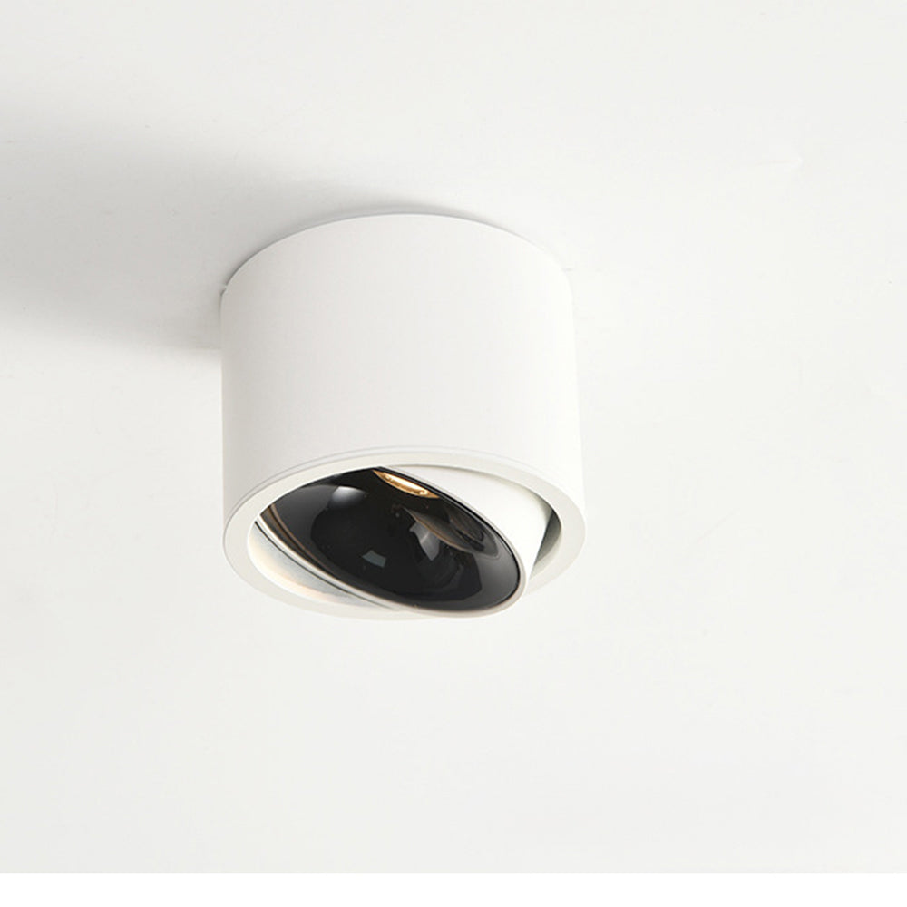 Lumitilt - Adjustable Tilt LED Ceiling Downlight