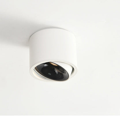 Lumitilt - Adjustable Tilt LED Ceiling Downlight