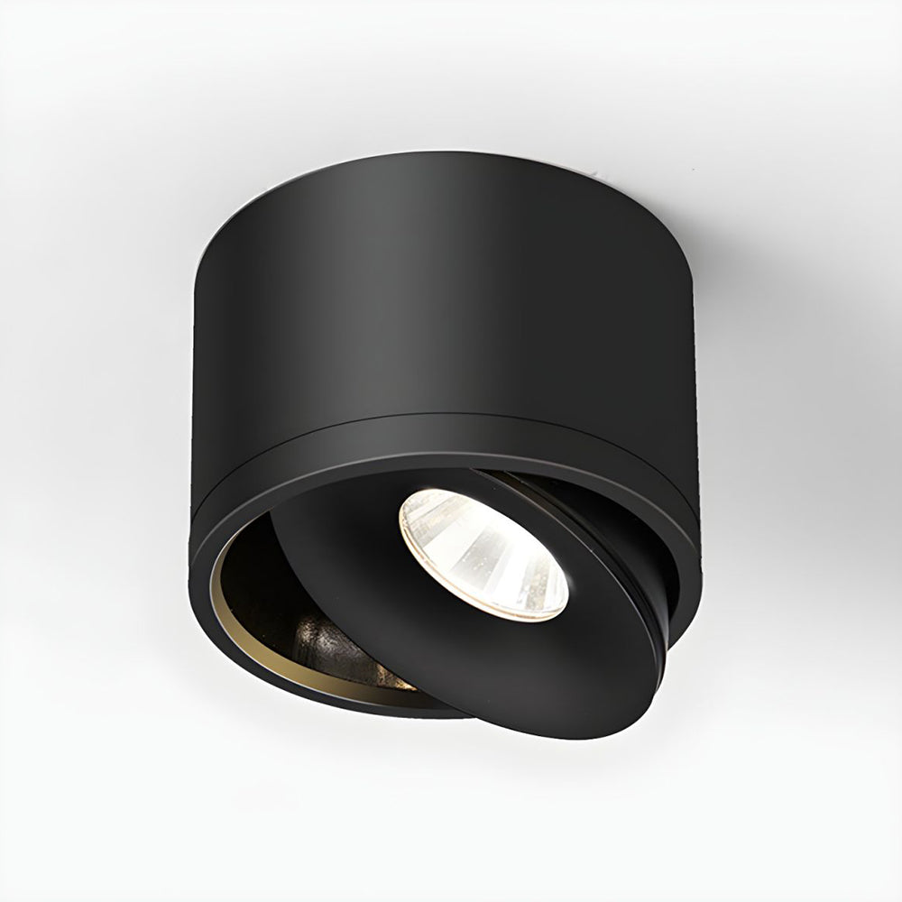 Lumitilt - Adjustable Tilt LED Ceiling Downlight
