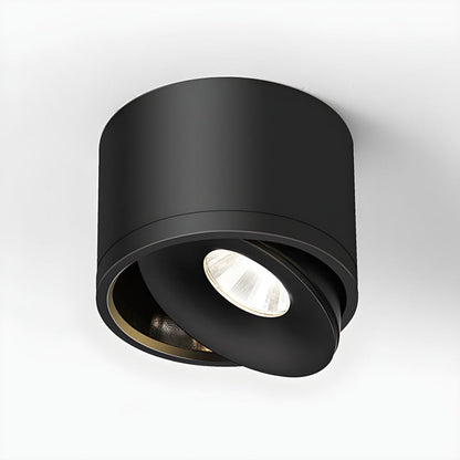 Lumitilt - Adjustable Tilt LED Ceiling Downlight