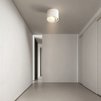 Lumitilt - Adjustable Tilt LED Ceiling Downlight