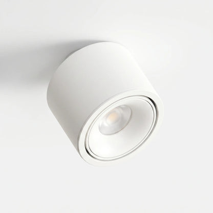 Lumitilt - Adjustable Tilt LED Ceiling Downlight