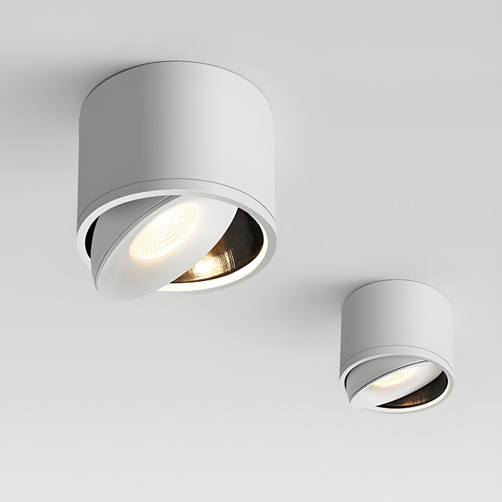 Lumitilt - Adjustable Tilt LED Ceiling Downlight