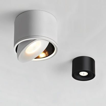 Lumitilt - Adjustable Tilt LED Ceiling Downlight